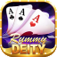 rummy 35