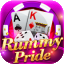 01 game rummy